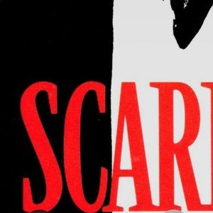 Meet your Posher, Zeyad